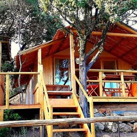 Stazzu La Capretta Farm Camping & Guest Rooms أولبيا المظهر الخارجي الصورة