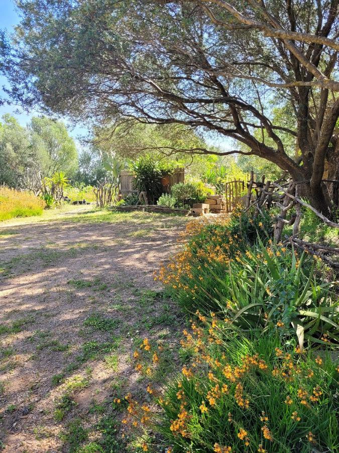 Stazzu La Capretta Farm Camping & Guest Rooms أولبيا المظهر الخارجي الصورة