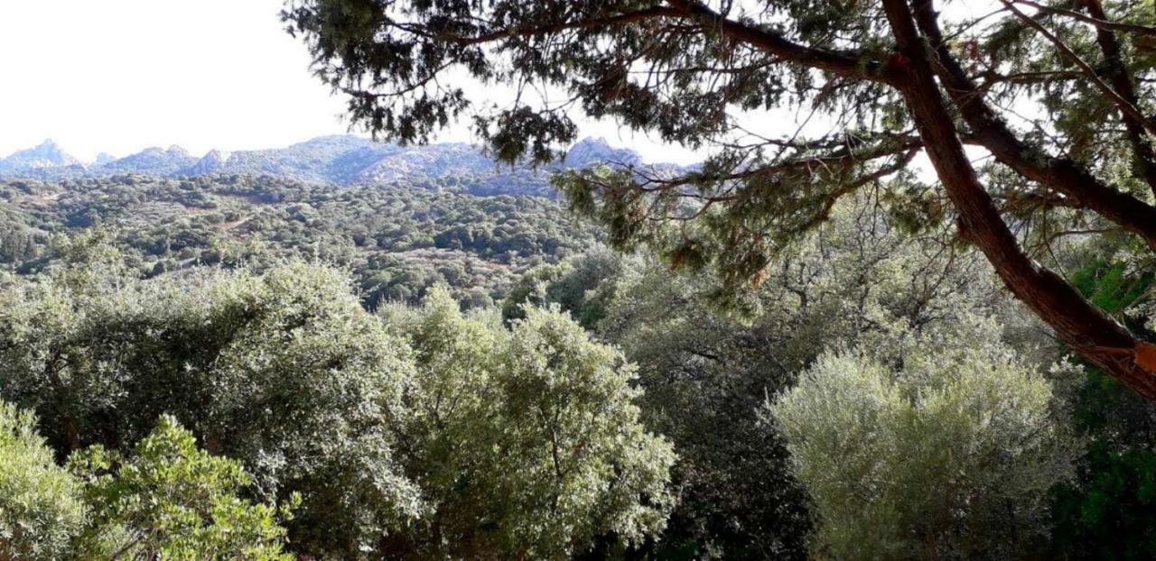 Stazzu La Capretta Farm Camping & Guest Rooms أولبيا المظهر الخارجي الصورة