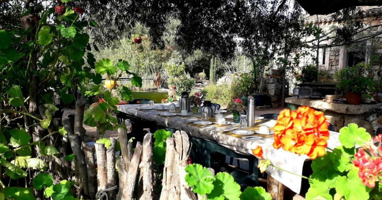Stazzu La Capretta Farm Camping & Guest Rooms أولبيا المظهر الخارجي الصورة