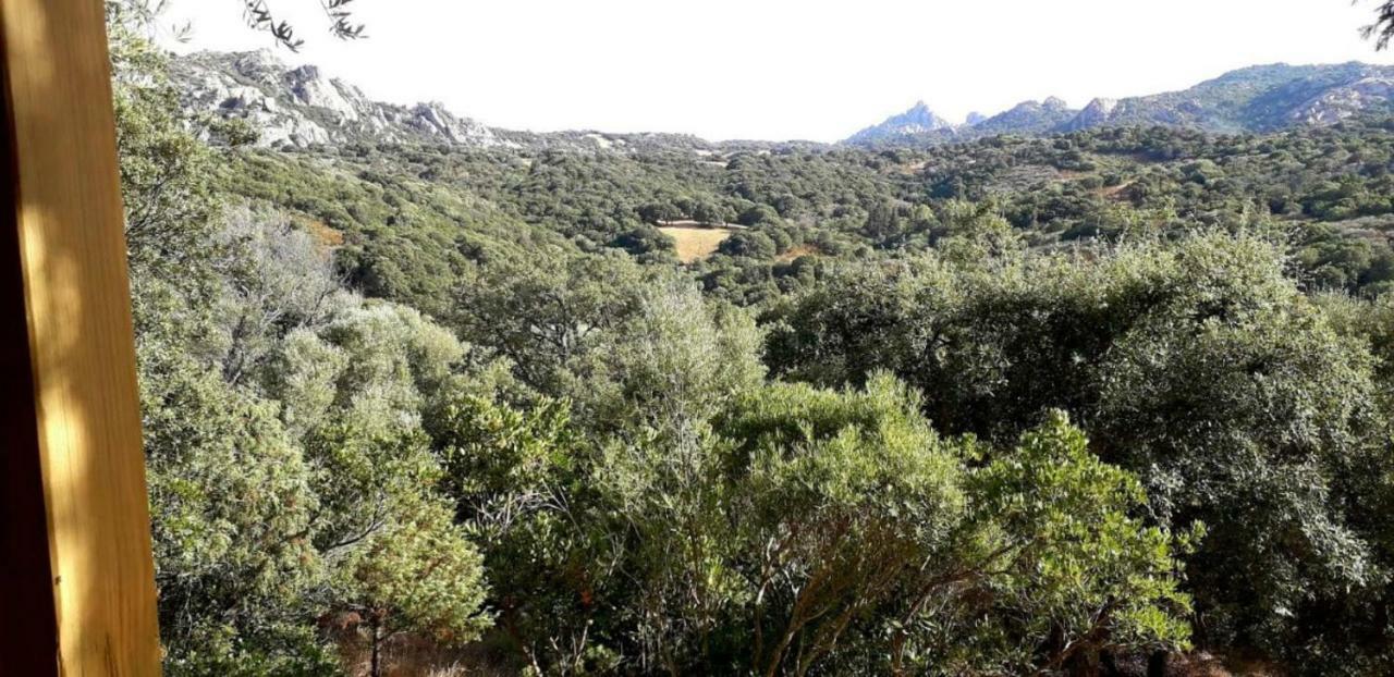 Stazzu La Capretta Farm Camping & Guest Rooms أولبيا المظهر الخارجي الصورة
